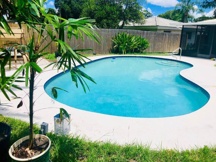 Paradise Hideaway Entire Guest Home Near Beach Clearwater Extérieur photo
